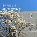 지산목련아파트경로당 | 대구 지산목련아파트 목련 만개 실시간