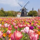 현하우스 이미지