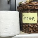 미니펍양산