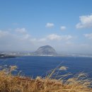 보람렌트카 이미지