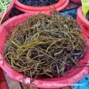 이화상회 이미지