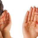 현대홍익유치원 이미지