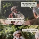 니하오 이미지