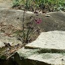 문경새재우체국 이미지