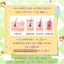 차동물병원 이미지