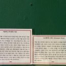 압구정현대서점 이미지