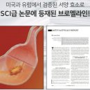 비아1통 이미지