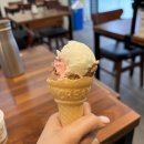 동해 강릉초당짬뽕순두부 대전탄방점