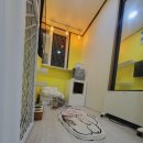 호텔도도 | 24시 시흥고양이호텔 캣스테이 집사거주 고양이호텔 도도 이용후기