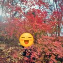 방배동헬스장 50대 개인PT #갱년기에 맞는 운동방향
