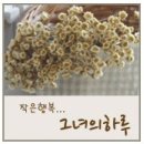 피톤치드 호텔라인 스프레드 여름이불-그녀의 하루 이미지