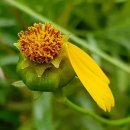 맹자에게 배우는 진심 이미지