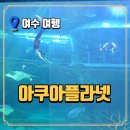 여수광양항만공사 여수엑스포사후활용추진단 | 여수 아쿠아플라넷 할인 꿀팁부터 무료주차까지! 아이와 겨울 실내여행
