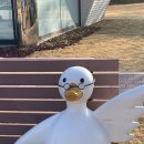 애니카랜드 신탄진점 이미지