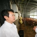 복지농장 이미지