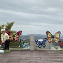 완도읍-3 이미지