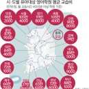 세미씨 이미지
