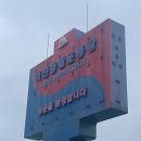 전북장애인연맹 | 2023년 2급 장애인스포츠지도사(장애인 육상) 실기 · 구술 후기