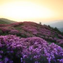 춘향과 몽룡 이미지