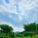 [안성] 서운산자연휴양림 물놀이 계곡이 있는 서운산자연휴양림 석남사방 후기 (주차장 및 안내)