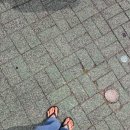 June (3), 2026: 영양제와 쪼리 추천 등 추천으로 가득 찬..