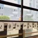 고운이이불