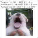 보문로34가길 35 | [2026.06]난 귀엽긴 해도 공포와 충격과 비겁한 마음 모두 다 말살🤟