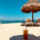 낙원마트 이미지