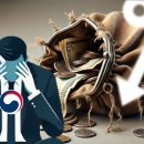 더 나라 이미지