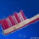 내추럴치과의원 네이버블로그
