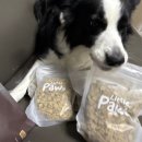 퍼피베이크 | [내돈내산/댕댕이사료] 사료 전환 성공! 리얼 오븐베이크 프로틴업 리뷰