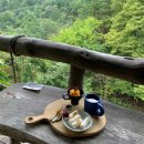 고바우산장 | 3박4일 포항,경주 여행 (1주년 여행) -> 포항 1일차❣️