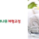 대나무체형교정 이미지