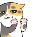 현 동물병원 이미지