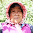 노좌1리 이미지