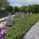 미국 워싱턴 D.C. 한국전 참전 용사 기념비(Korean War Veterans Memorial) 이미지