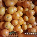 미성민박 이미지