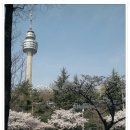 두류공원로 이미지