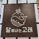 달에사는고래 이미지