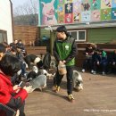진호국제양궁장 양궁장 | [경북/예천]예천1박2일/이천돼지공연/진호국제양궁장/금당실마을/예천상설시장/용궁역토끼간빵