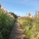 노을정원 이미지