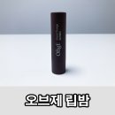 생기정 | 남성 립밤 추천 오브제 무드체인지 립밤으로 발색과 보습을 동시에