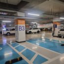 장성수산 | 가락시장 횟집맛집 장성수산 계절오마카세 포장 후기