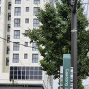 오케이내과의원 이미지