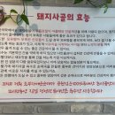 푸짐한순대국 이미지