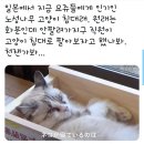 화분공장 네이버블로그