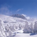 제주 한라산산행 준비물 이미지