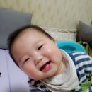 초록마을 대전가오점