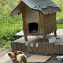 짐크레커 양양점 이미지