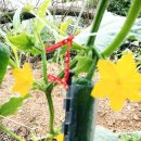 방자농장 이미지